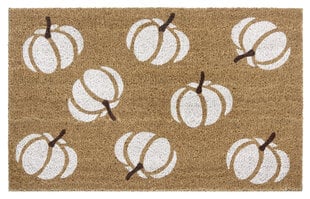 Hanse Home коврик для двери Mix Mats Cocos 45x75 см цена и информация | Придверные коврики | pigu.lt