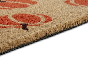 Hanse Home коврик для двери Mix Mats Cocos 45x75 см цена и информация | Придверные коврики | pigu.lt