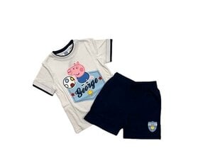 Комплект для мальчиков Peppa pig цена и информация | Рубашка для мальчиков | pigu.lt
