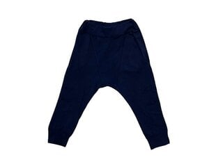 Детские спортивные штаны Victor цена и информация | Спортивные штаны для мальчиков | pigu.lt