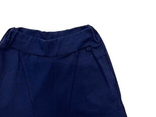 Детские спортивные штаны Victor цена и информация | Штаны для мальчиков | pigu.lt