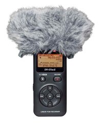 Tascam WS - 11 цена и информация | Принадлежности для музыкальных инструментов | pigu.lt