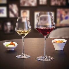 Набор фужеров Chef & Sommelier Distinction, 280 мл, 6 штук цена и информация | Стаканы, фужеры, кувшины | pigu.lt