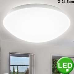 Just Light Lubinis šviestuvas Andrea цена и информация | Потолочные светильники | pigu.lt