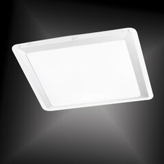Leuchten direkt lubinis šviestuvas Labol kaina ir informacija | Lubiniai šviestuvai | pigu.lt