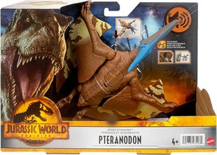 Dinozauro figūrėlė Pteranodon Mattel Jurassic World HDX42 цена и информация | Игрушки для мальчиков | pigu.lt