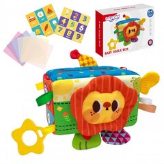 Lavinamuju žaislų rinkinys Woopie kaina ir informacija | Žaislai kūdikiams | pigu.lt