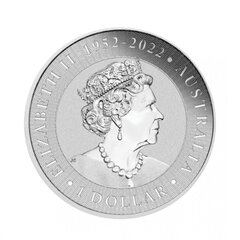 Sidabrinė moneta Kengūra 2023 цена и информация | Нумизматика | pigu.lt
