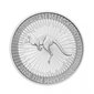 Sidabrinė moneta Kengūra 2023 цена и информация | Numizmatika | pigu.lt