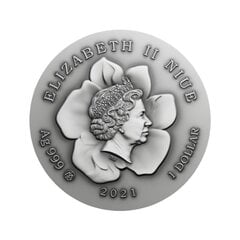 1 dolerio sidabrinė moneta Smalsios Akys, Niujė 2021 kaina ir informacija | Numizmatika | pigu.lt