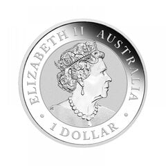 Sidabrinė moneta Australian Nugget-Golden Eagle 2021 kaina ir informacija | Numizmatika | pigu.lt
