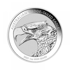 Sidabrinė moneta Australijos pleištasuodegis erelis 2022 kaina ir informacija | Numizmatika | pigu.lt