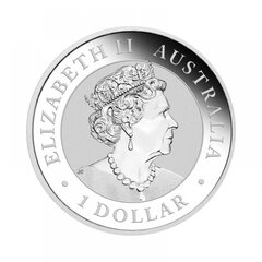 Sidabrinė moneta Australijos pleištasuodegis erelis 2022 kaina ir informacija | Numizmatika | pigu.lt