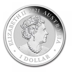 Sidabrinė moneta Australijos Sidabrinė Gulbė 2021 kaina ir informacija | Numizmatika | pigu.lt