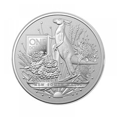 Sidabrinė moneta Coat of Arms 2022 kaina ir informacija | Numizmatika | pigu.lt