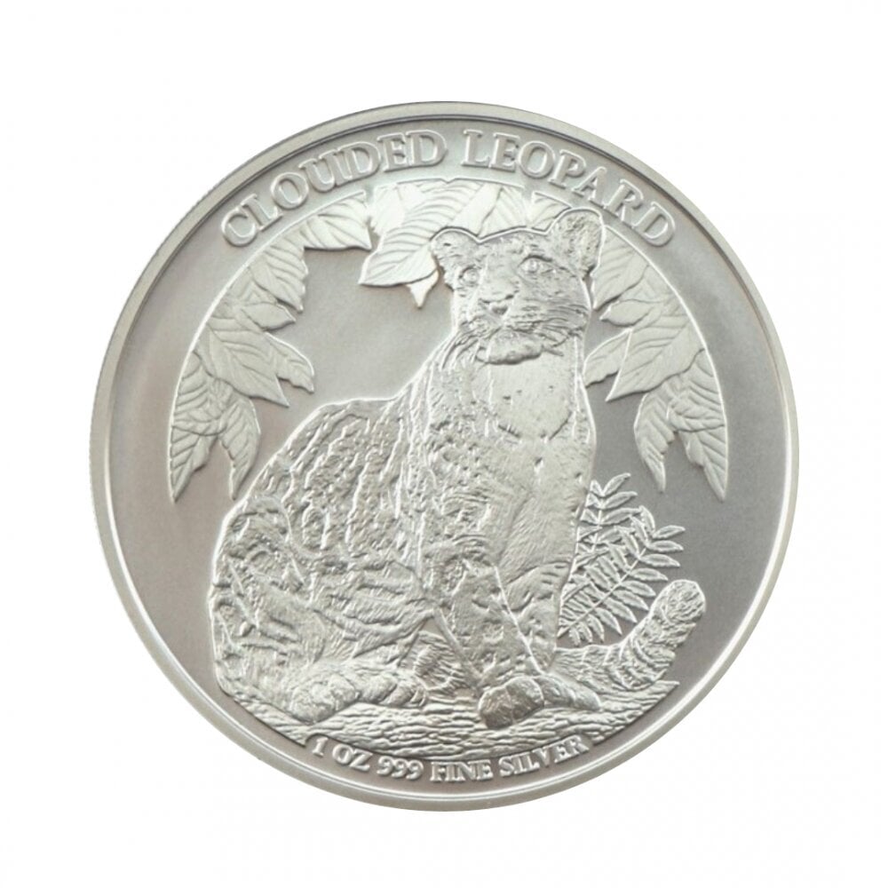 Sidabrinė moneta Debesuotasis leopardas, Laukinė gamta 2023 kaina ir informacija | Investicinis auksas, sidabras | pigu.lt