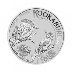 Sidabrinė moneta Kookaburra 2023 kaina ir informacija | Numizmatika | pigu.lt