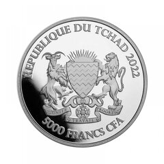 Sidabrinė moneta Mandala Zebras 2022 kaina ir informacija | Numizmatika | pigu.lt