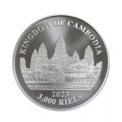 Sidabrinė moneta Prarasti Kambodžos tigrai 2023 kaina ir informacija | Numizmatika | pigu.lt