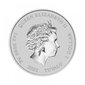 Sidabrinė moneta Simpsonai, Tuvalu 2022 kaina ir informacija | Numizmatika | pigu.lt