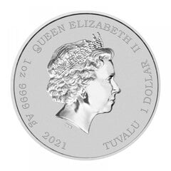Sidabrinė moneta Simpsonai, Tuvalu 2021 kaina ir informacija | Numizmatika | pigu.lt
