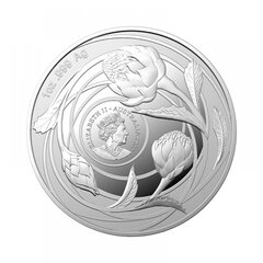 Sidabrinė moneta Wildflowers of Australia - Waratah 2022 kaina ir informacija | Numizmatika | pigu.lt