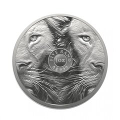 Sidabrinė moneta Liūtas 2022 kaina ir informacija | Numizmatika | pigu.lt