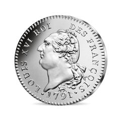 Sidabrinė moneta The Louis XVI 2019 kaina ir informacija | Numizmatika | pigu.lt