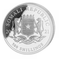 5 oz sidabrinė moneta Dramblys, Somalis 2021 kaina ir informacija | Investicinis auksas, sidabras | pigu.lt
