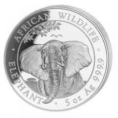 5 oz sidabrinė moneta Dramblys, Somalis 2021 kaina ir informacija | Investicinis auksas, sidabras | pigu.lt