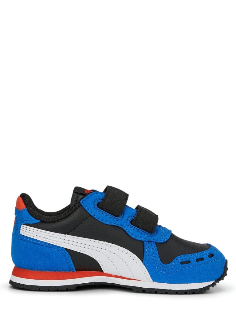Primigi sportiniai batai berniukams Cabana Racer Sl 20 V Ps 234238754, mėlyni kaina ir informacija | Sportiniai batai vaikams | pigu.lt