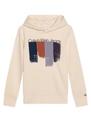 Толстовка для мальчика CALVIN KLEIN Placed Brushstrokes 520883111 цена и информация | Свитеры, жилетки, пиджаки для мальчиков | pigu.lt