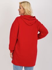 Moteriškas raudonas plius dydžio megztinis kaina ir informacija | Akumuliatoriai vaizdo kameroms | pigu.lt