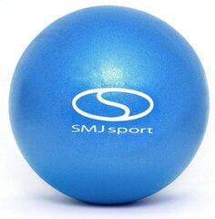 Gimnastikos kamuolys SMJ sport, 25 cm, mėlynas цена и информация | Гимнастические мячи | pigu.lt