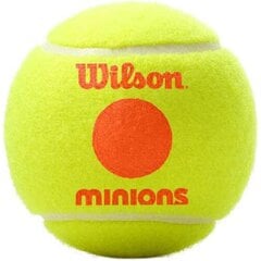 Lauko teniso kamuoliukai Wilson Starter Orange Minions 3vnt. kaina ir informacija | Lauko teniso prekės | pigu.lt