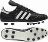 Futbolo bateliai Adidas Copa Mundial FG 015110,42923 kaina ir informacija | Futbolo bateliai | pigu.lt