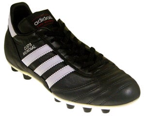 Футбольные бутсы Adidas Copa Mundial FG 015110,42923 цена и информация | Футбольные бутсы | pigu.lt