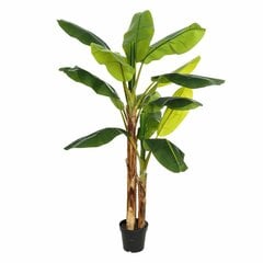 Декоративное растение 103 x 95 x 200 cm Зеленый PVC Банан цена и информация | Искусственные цветы | pigu.lt