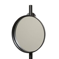 Настенное зеркало 22 x 20 x 100 cm Стеклянный Чёрный Металл цена и информация | Зеркала | pigu.lt