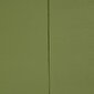 Galvūgalio lenta BigBuy Home, 160 x 7 x 64 cm, žalia kaina ir informacija | Lovos | pigu.lt