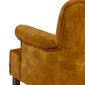 Fotelis 77x64x88cm, geltona kaina ir informacija | Svetainės foteliai | pigu.lt