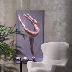Картина DKD Home Decor Балерина романтик 70 x 3 x 100 cm (2 штук) цена и информация | Репродукции, картины | pigu.lt