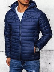 Парка Мужцины Threadbare Jacket Tingley Padded, Тёмно-синий цена и информация | Мужские куртки | pigu.lt