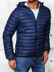 Парка Мужцины Threadbare Jacket Tingley Padded, Тёмно-синий цена и информация | Мужские куртки | pigu.lt