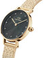 Laikrodis moterims Daniel Wellington DW00100595 kaina ir informacija | Moteriški laikrodžiai | pigu.lt