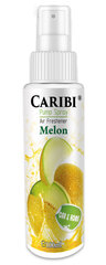 Namų kvapas Caribi Melon, 100 ml kaina ir informacija | Namų kvapai | pigu.lt