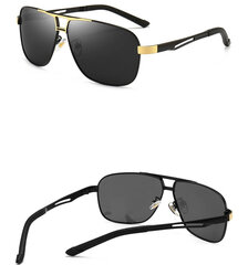 Поляризованные солнцезащитные очки для мужчин FX58 цена и информация | Солнцезащитные очки для мужчин | pigu.lt