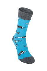 Trumpos kojinės vyrams Lion FishAholic, mėlynos цена и информация | Мужские носки | pigu.lt