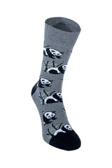 Trumpos kojinės vyrams Lion FishAholic, pilkos цена и информация | Мужские носки | pigu.lt