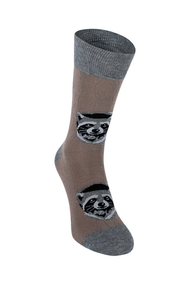 Trumpos kojinės vyrams Lion FishAholic, pilkos цена и информация | Vyriškos kojinės | pigu.lt